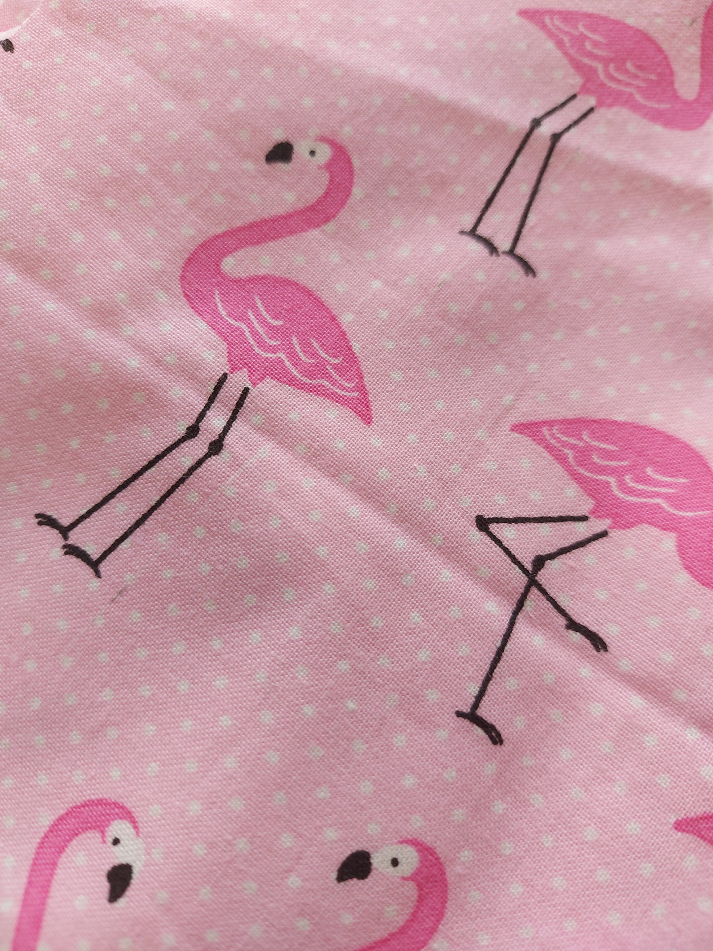 Liner diario